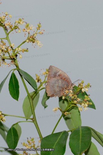 070407_sl_16.jpg