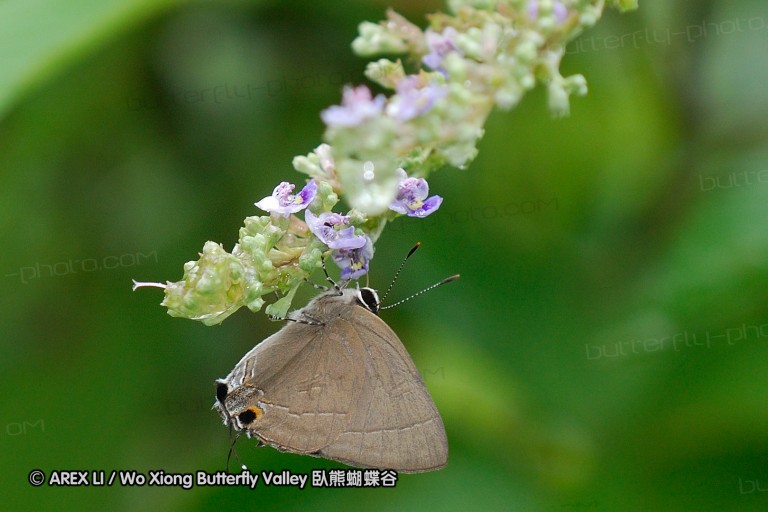 070630_fy_07.jpg