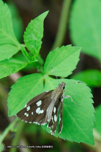 070630_fy_19.jpg