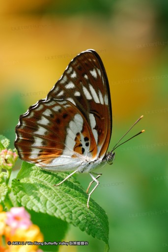 070922_lkt_05.jpg