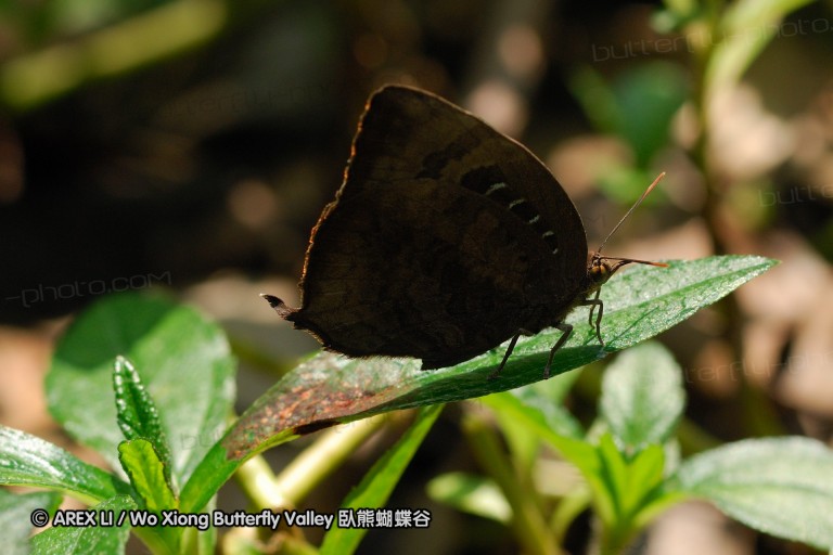 071020_hainan_40.jpg