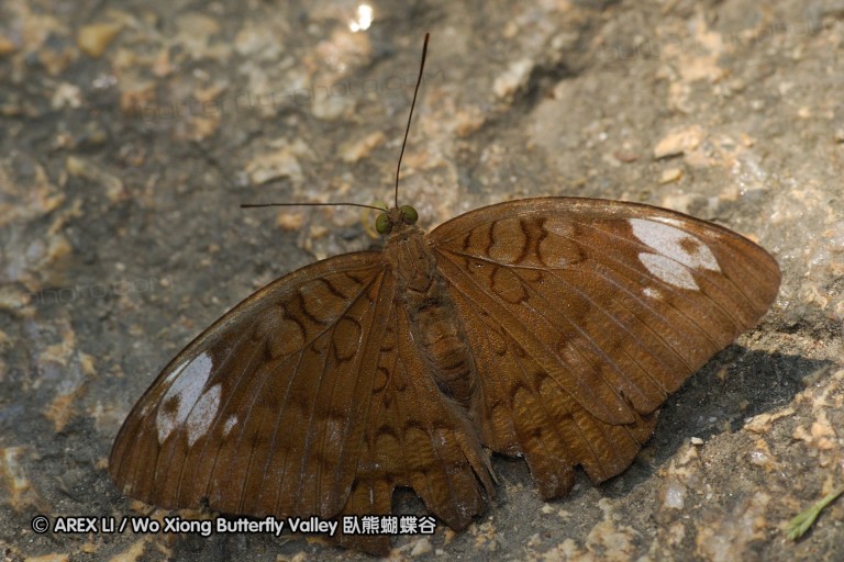 071020_hainan_44.jpg