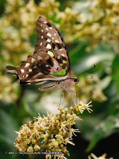 080330_sl_09.jpg