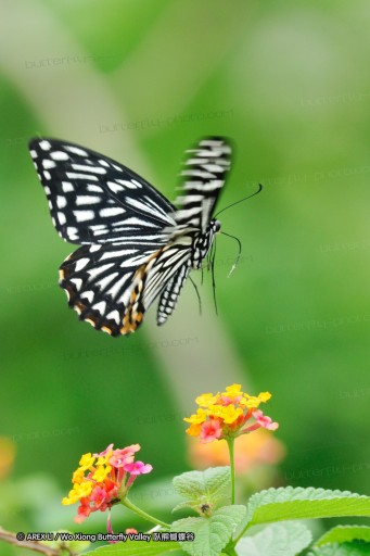 080503_sh_03.jpg
