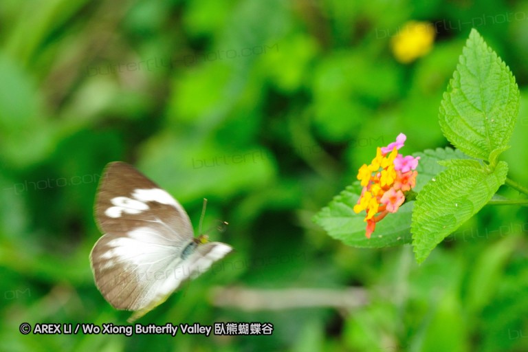 080503_sh_04.jpg