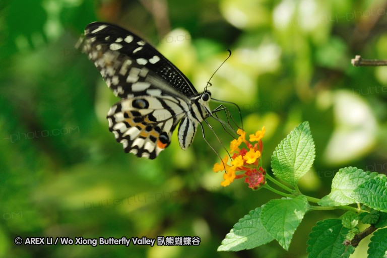 080503_sh_20.jpg
