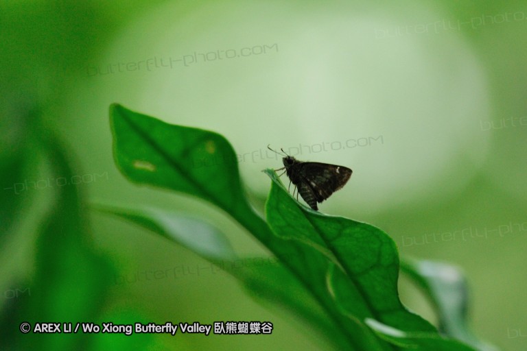 080719_tmc_08.jpg