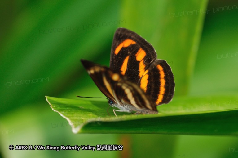 080810_kfbg_04.jpg