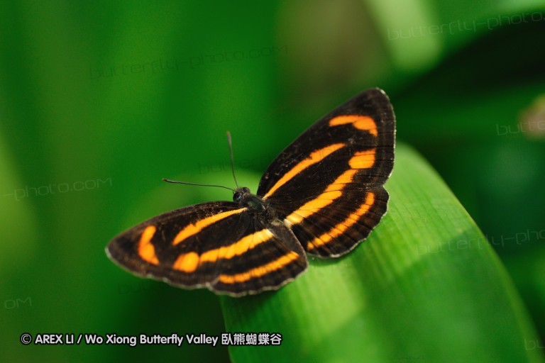 080810_kfbg_05.jpg