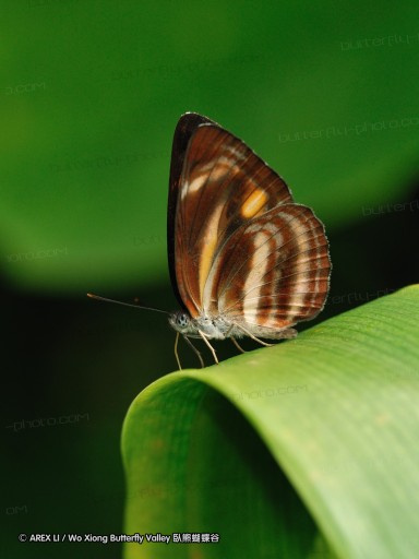 080810_kfbg_08.jpg