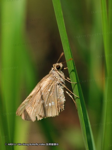 080820_ntm_01.jpg