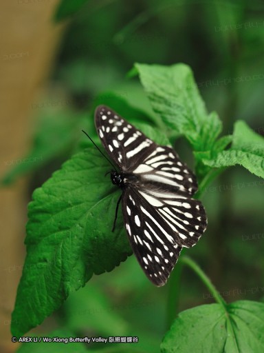090410_tw_43.jpg