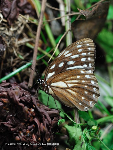 090410_tw_79.jpg