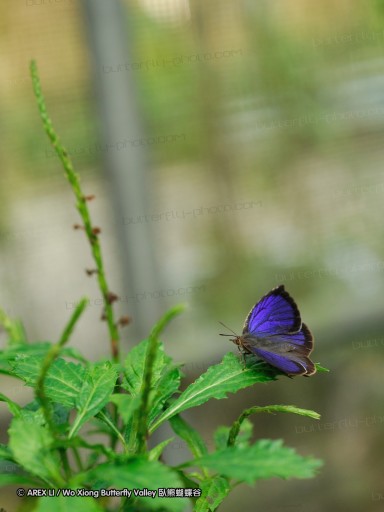 090410_tw_85.jpg