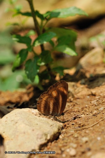 090503_fy_07.jpg