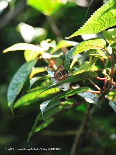 090530_tw_37.jpg