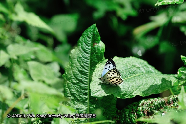 090709_tw_02.jpg