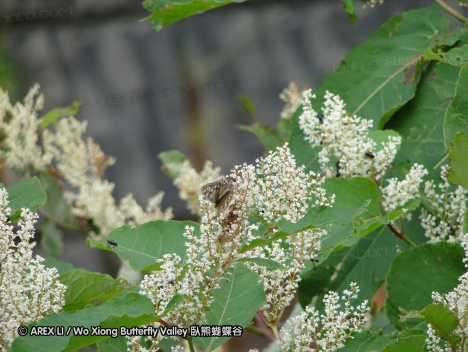 090817_hokkaido_01.JPG