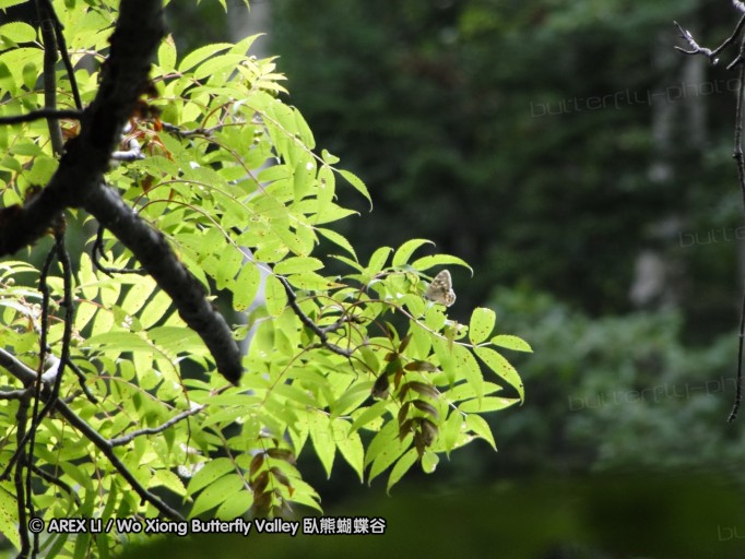 090817_hokkaido_03.JPG