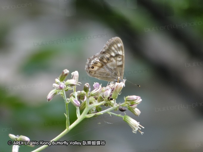 090817_hokkaido_06.JPG