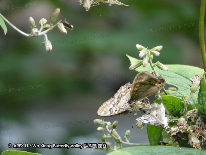 090817_hokkaido_07.JPG