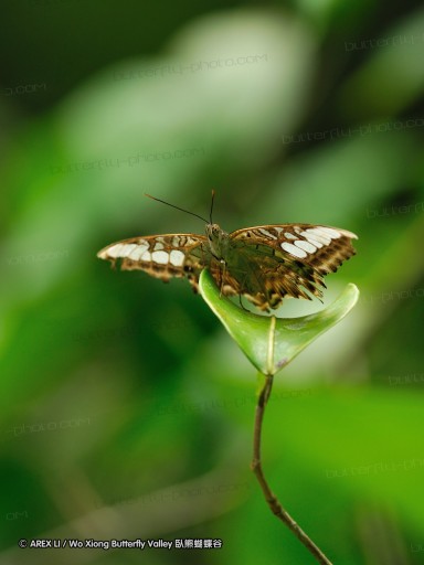 090829_ynrdyl_39.jpg