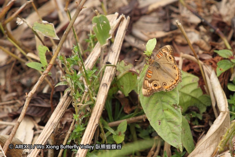 091026_alinahui_137.JPG