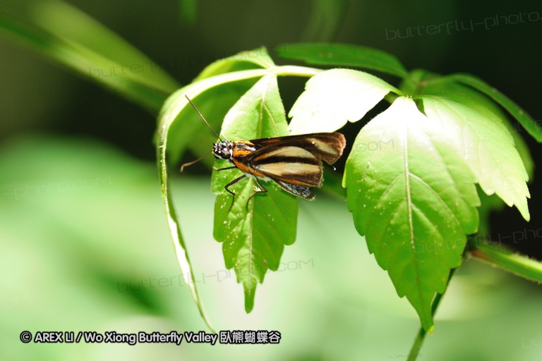 091027_alinahui_150a.jpg