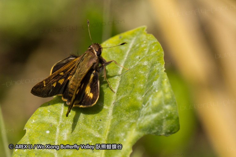 091106_ecua_104.jpg