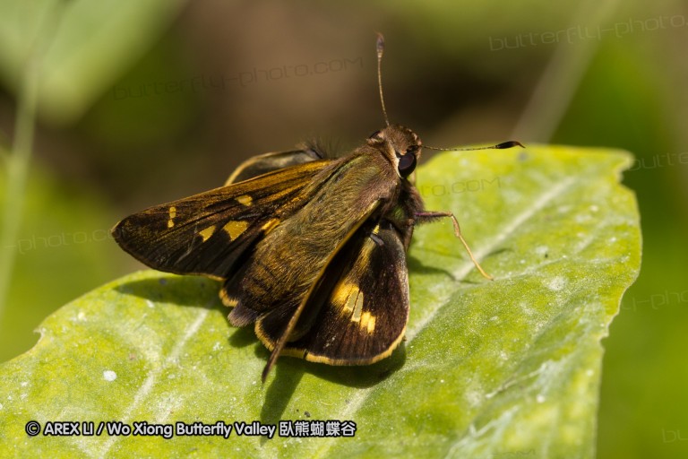 091106_ecua_105.jpg