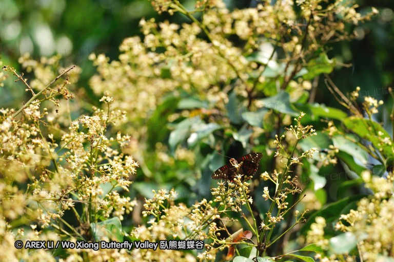 100319_sl_03.jpg