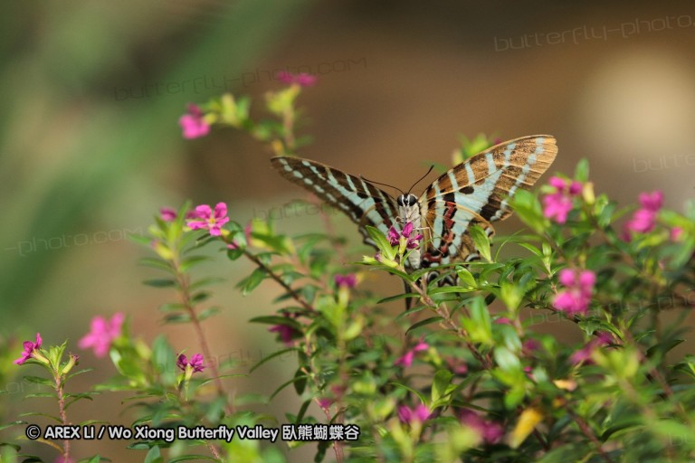 100428_sz_10.JPG