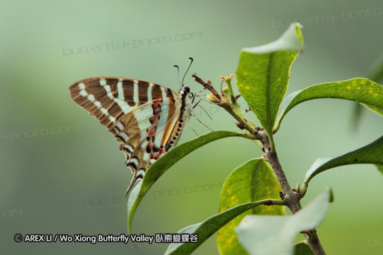 100428_sz_17.JPG