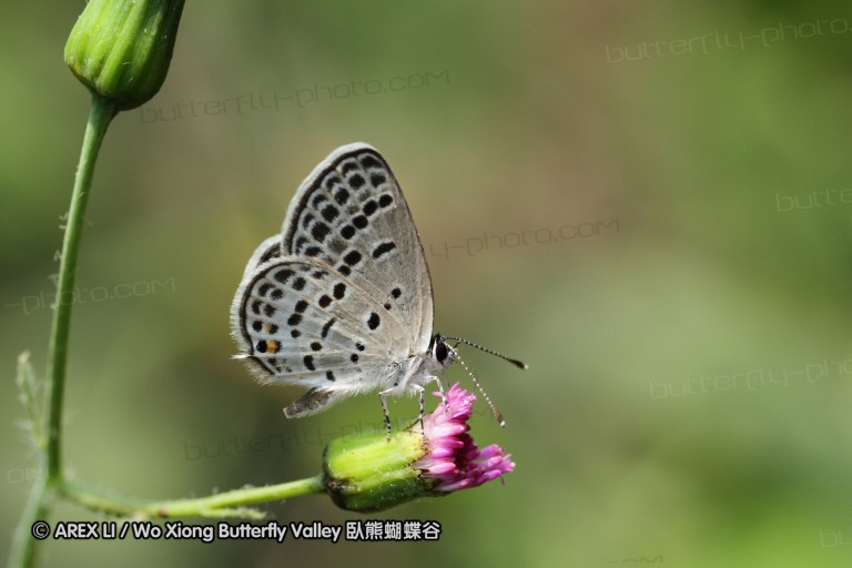 100828_cc_05.jpg