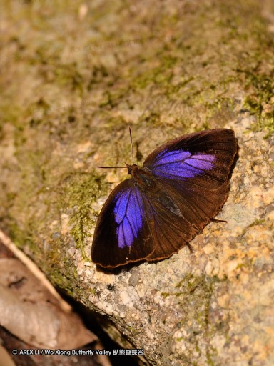 101228_ssw_06.jpg