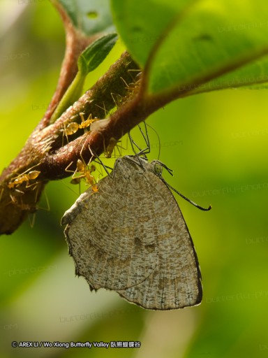 110206_palawan_005.jpg