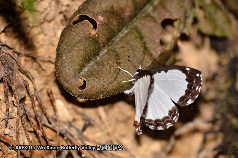 110402_nankunshan_08.jpg