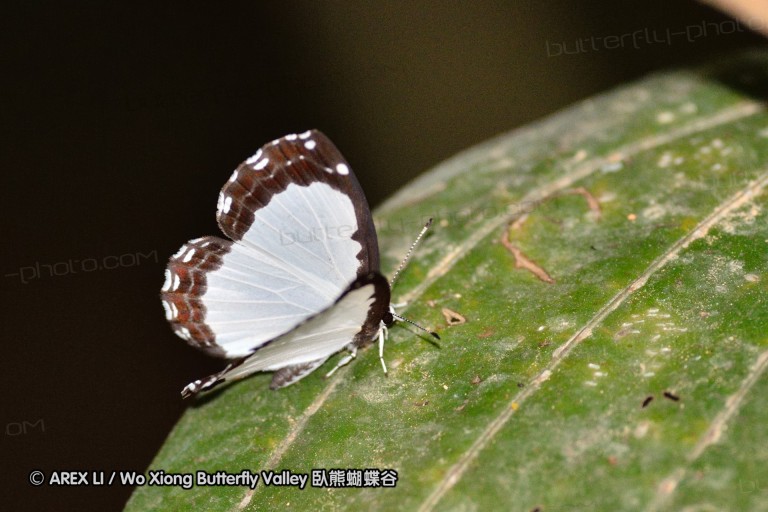 110402_nankunshan_13.jpg