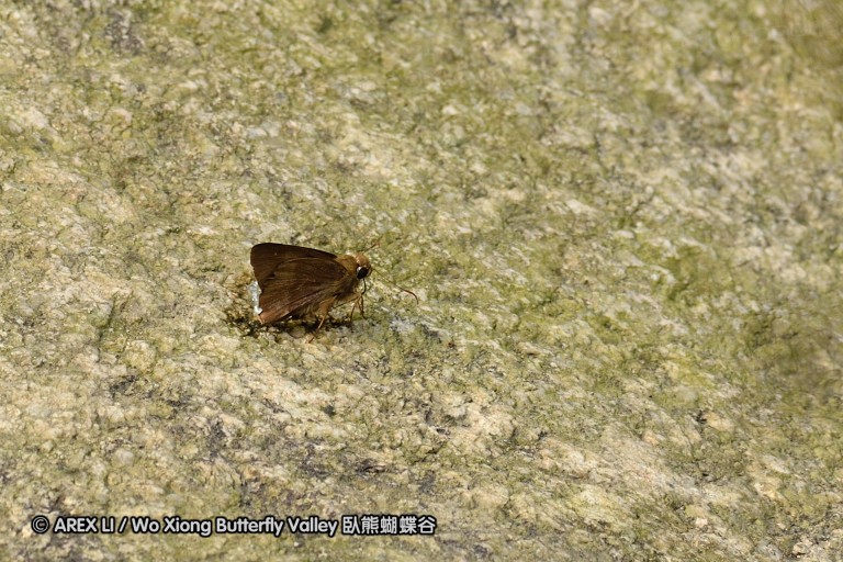110403_nankunshan_01.jpg
