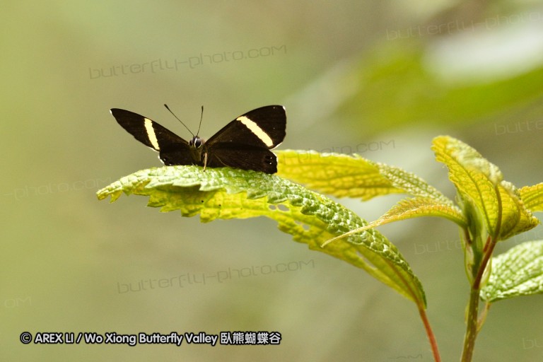 110403_nankunshan_09.jpg
