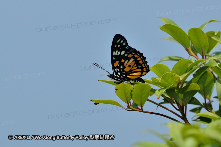 110529_nankunshan_015.jpg