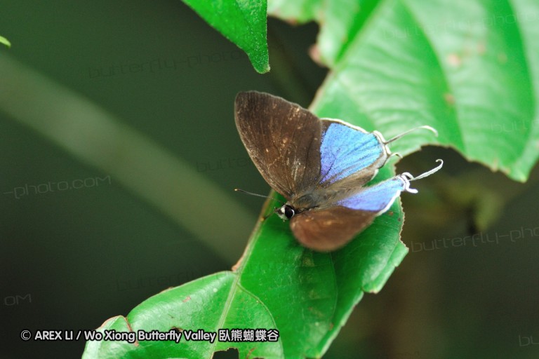 110604_sg_59.jpg
