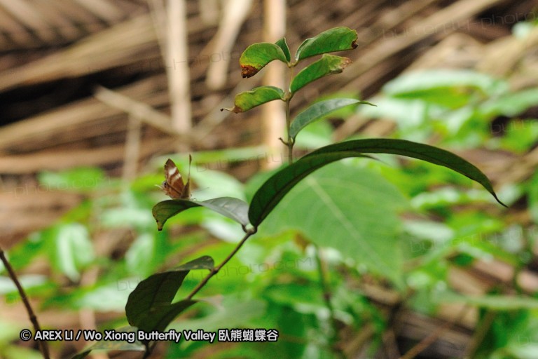 110606_sg_49.jpg