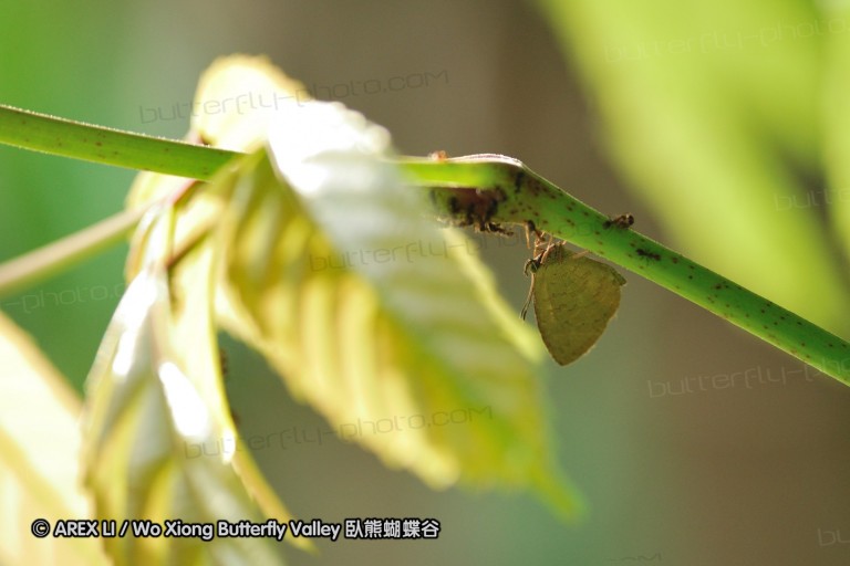 110607_sg_10.jpg