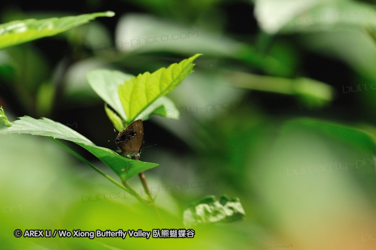 110607_sg_49.jpg