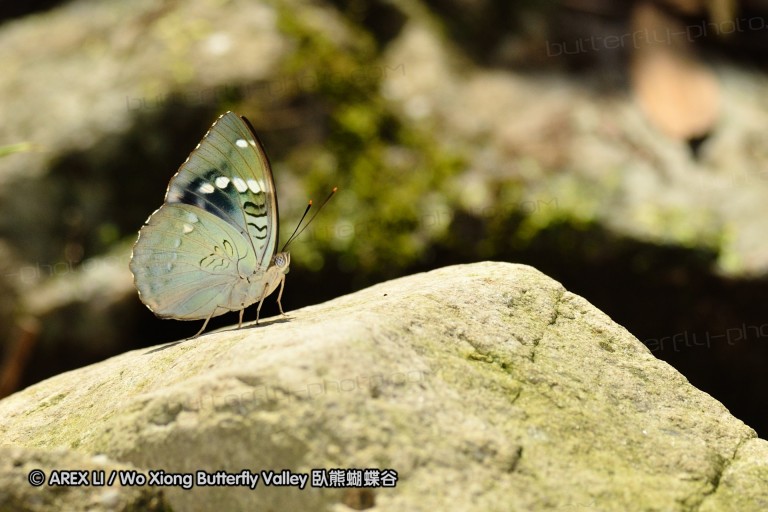 110701_nanling_15.jpg
