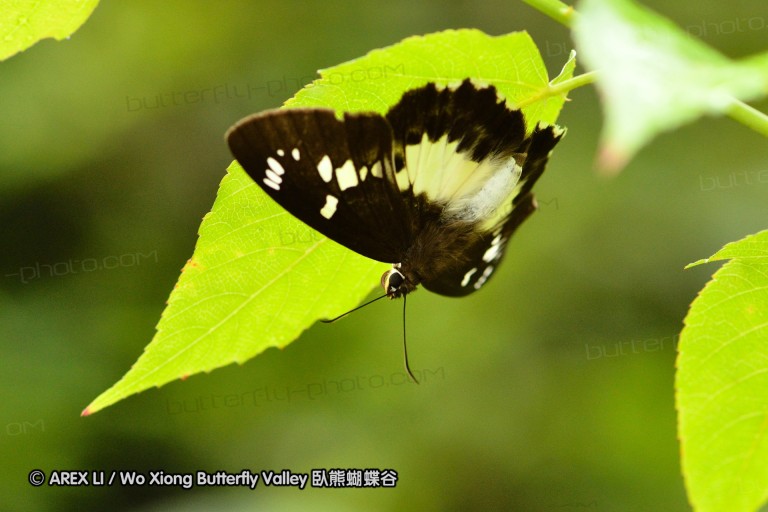 110701_nanling_32.jpg