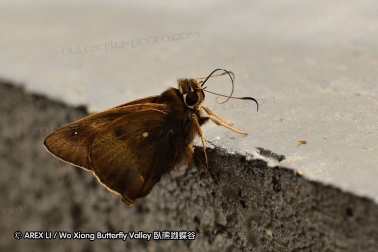 110702_nanling_006.jpg