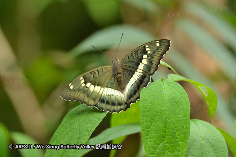 110702_nanling_043.jpg