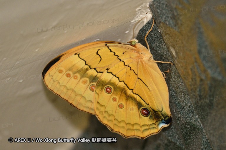 110702_nanling_049.jpg